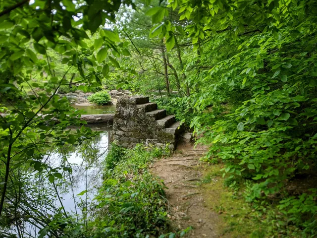 Pennypack Creek Trail