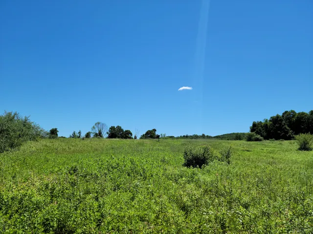 Great Swamp Wildlife Management Area Parking Lot