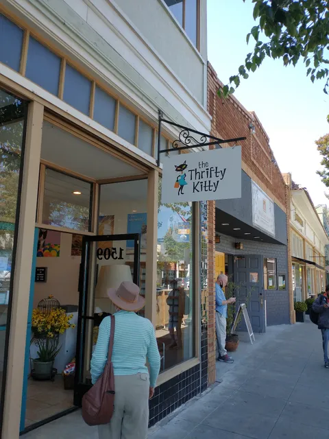 Thrifty Kitty