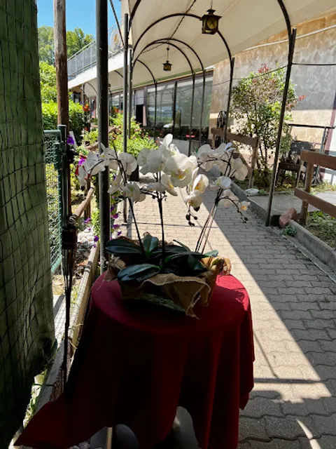 Bar Ristorante Pizzeria La Torraccia 6-883