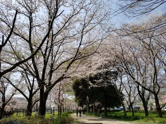 Aoba Park