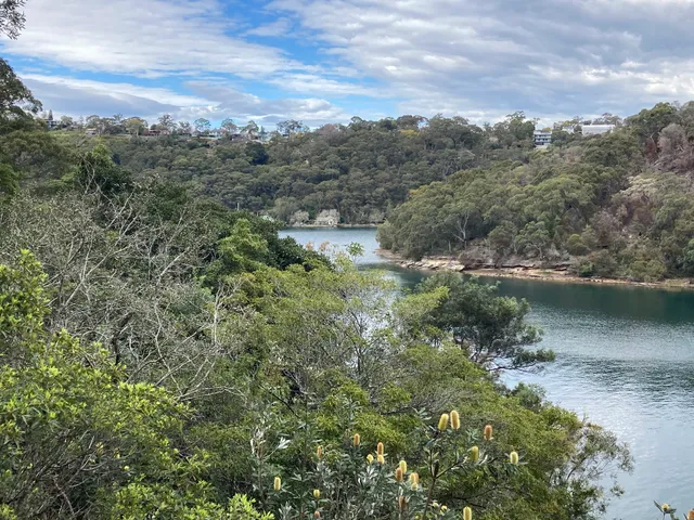 North Arm Walking Track