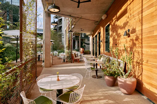 Summer on Music Lane