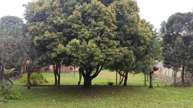 Residencial Quatro Estações