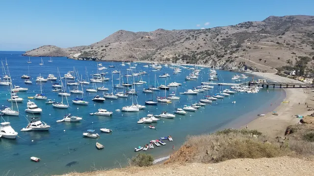 Two Harbors Harbor Department