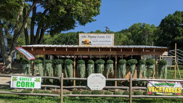 Ole' Thyme Farm