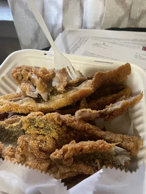 Sharks fish and chicken