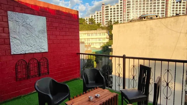 The Scenic Villa royal palms