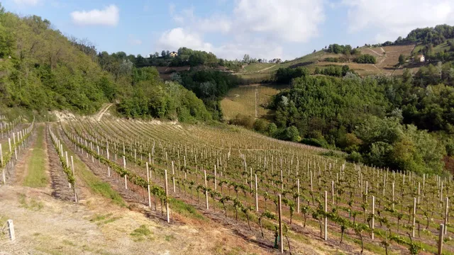 La Rana e la Salamandra House