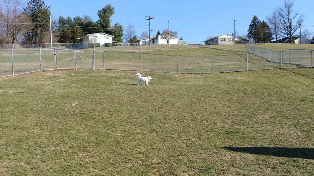 Waynesboro Dog Park