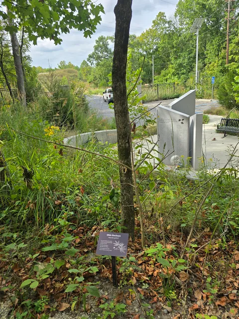 Washington University Memorial Grove