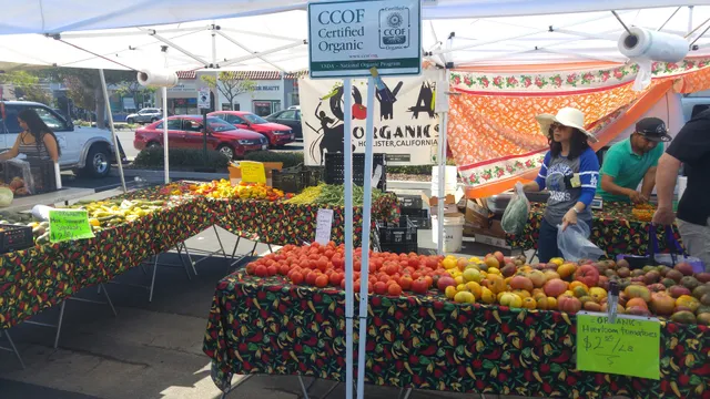 Belmont Farmers' Market