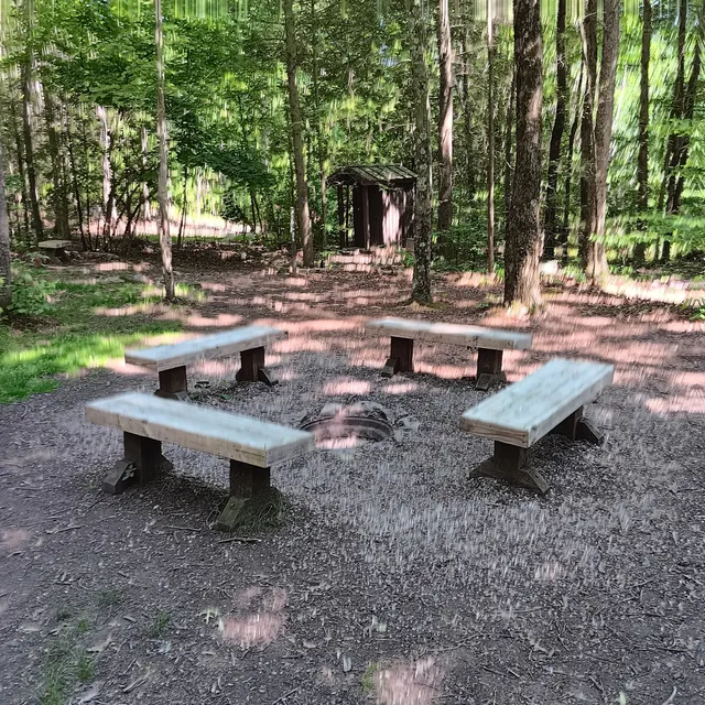 Michaux State Forest