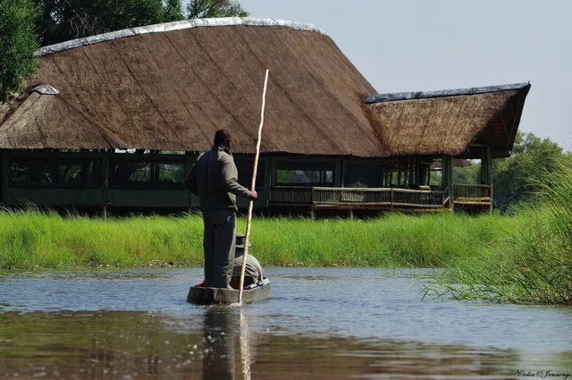 Under One Botswana Sky