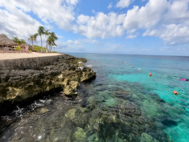Dive Chankanaab By Caribe Paradise