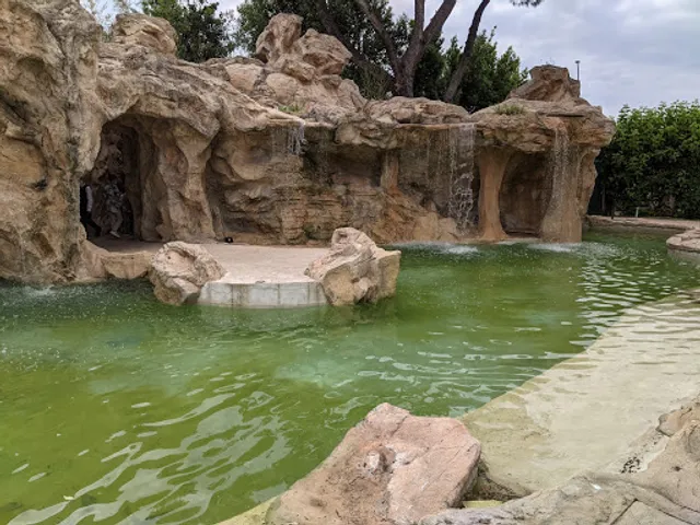 Rinaldo Allacquedotto