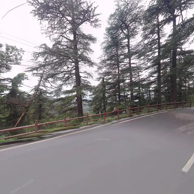 Hotel Himani Premium Shimla