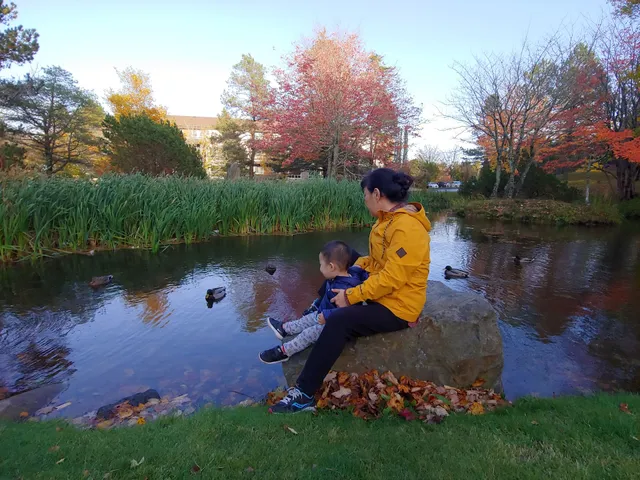 Mary Clayton Memorial Park