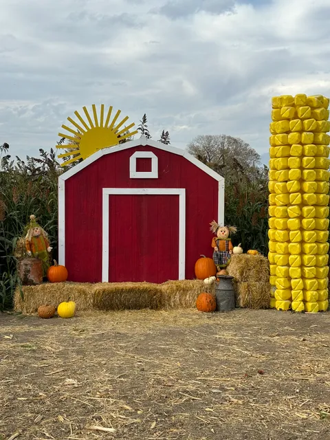 Sonrise Farm Colorado