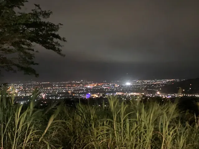 Star tribe tea house