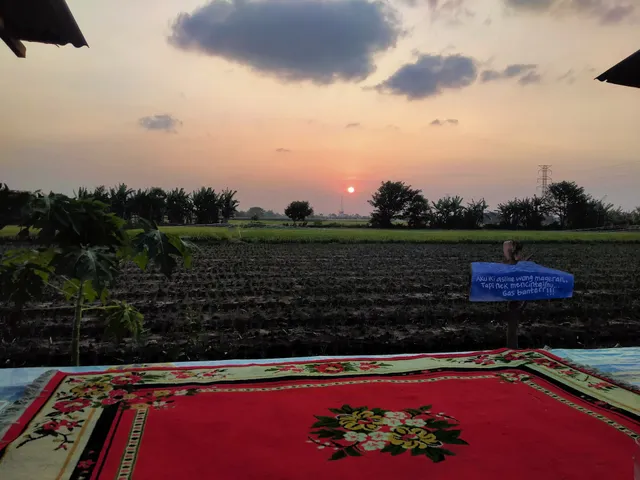 Cafe sawah probolinggo