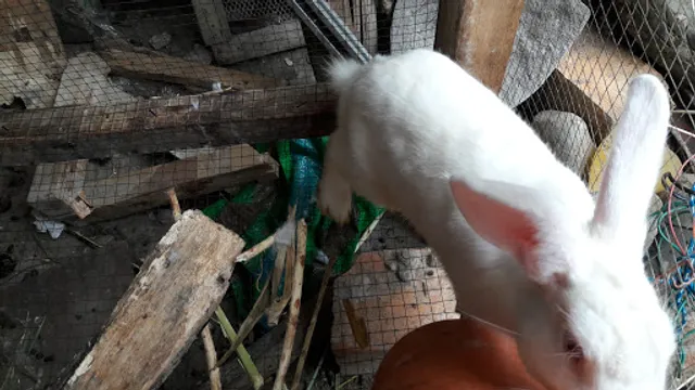 Cevicheria Valentina