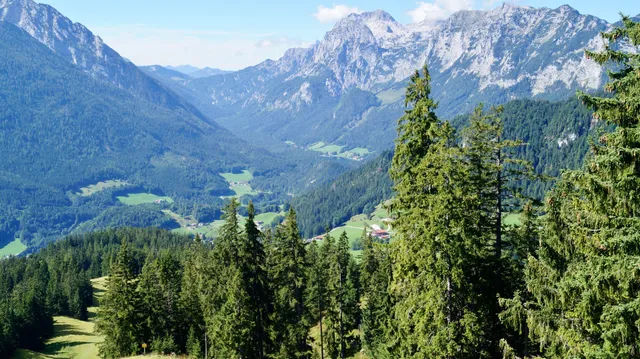 Hirscheck-Sesselbahn