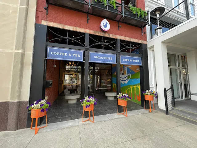 River Kitty Cat Cafe