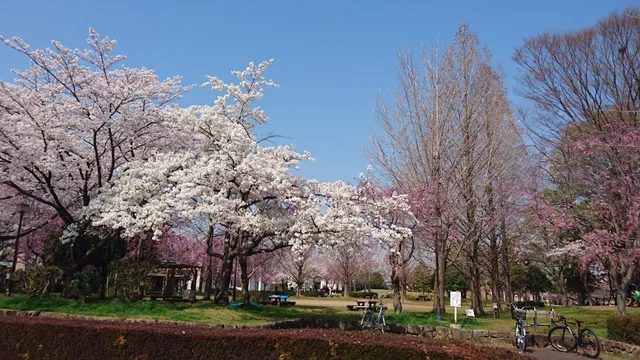 Yoshiba Park