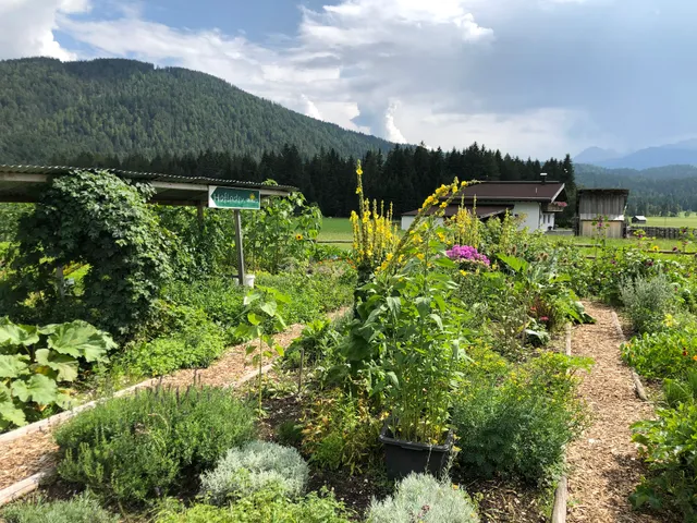 Wirtseppelerhof Appartments