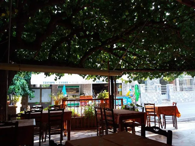 Φωλιά Χρυσίνα