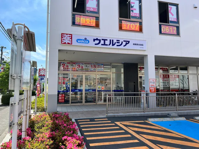 Welcia Sagamihara Kobuchi