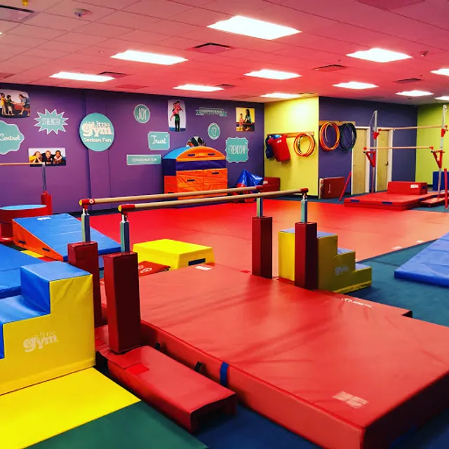 The Little Gym of Lynbrook