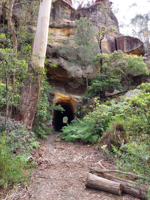 Box Vale Walking Track