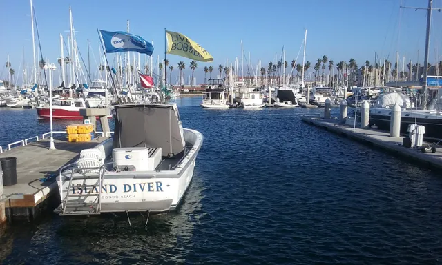 Rocky Point Kayak, Paddle Board, Surfboard and Wetsuit Rentals