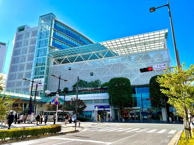 Futako Tamagawa Rise Dogwood Plaza