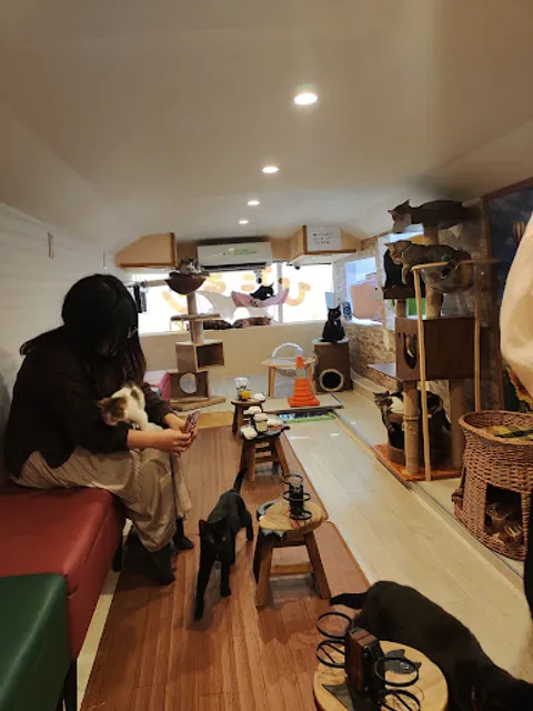 Hidamari Cat Rescue Cafe