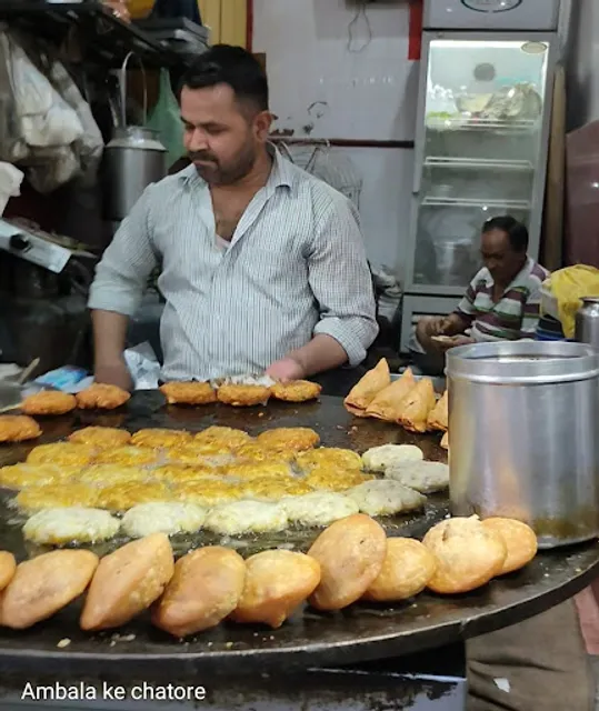 Vishal patta Chat Bhandar (Radha Vallabh Shri HarivanshPandit Ji)
