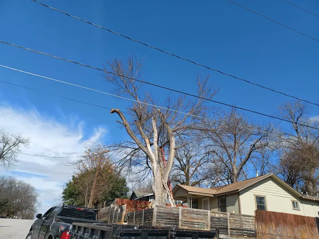 Greenmark Tiny Homes fet. Tiny Tim