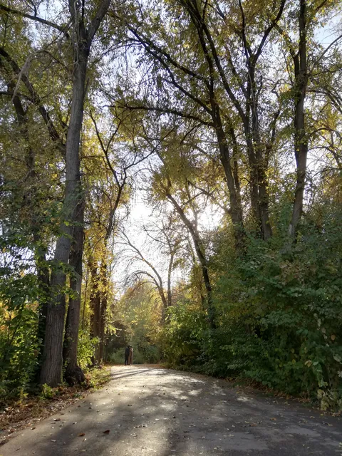 Mirzo Ulugbek National University Botanical Garden