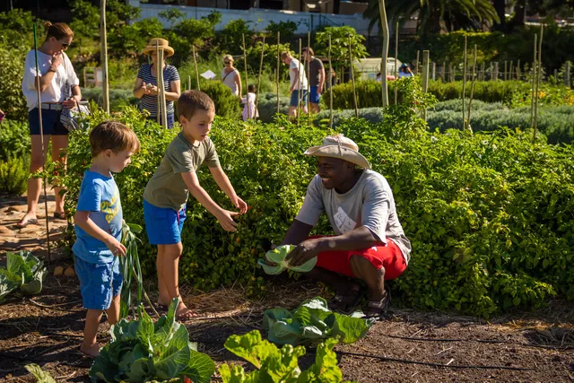 Oranjezicht City Farm