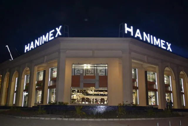 Hanimex