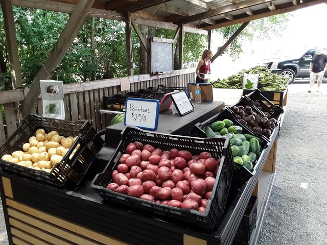 Jim Gorman's Vegetables