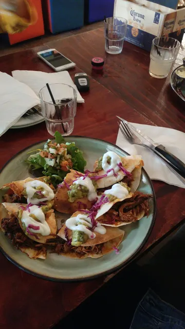 The Fat Cactus Gardens