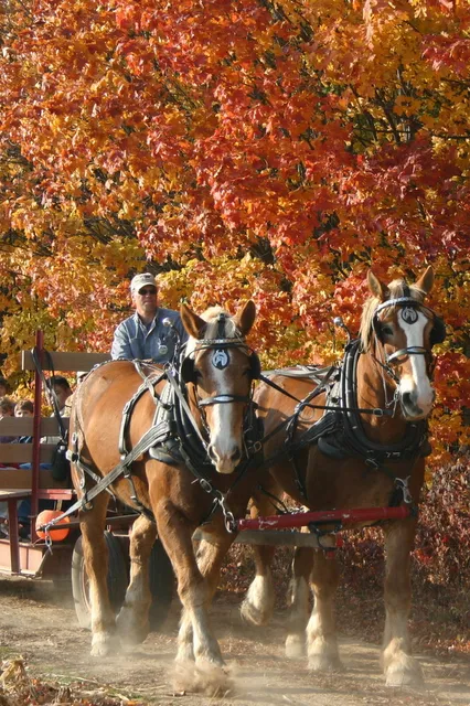 Fruit Ridge Hayrides