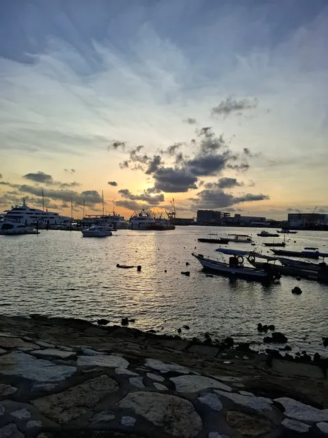 West Coast Park parkrun