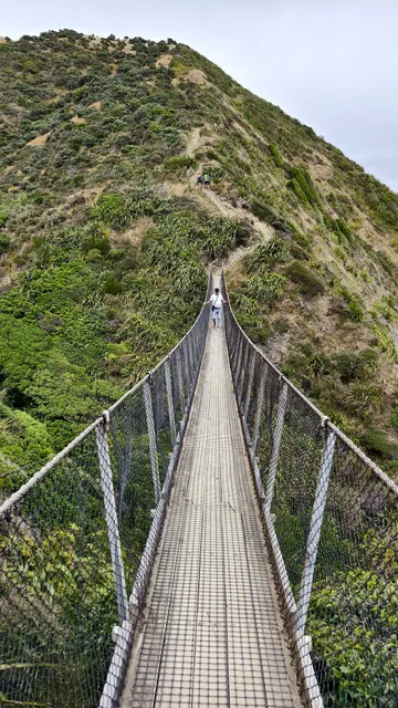 Pukerua Park for Escarpment Walk