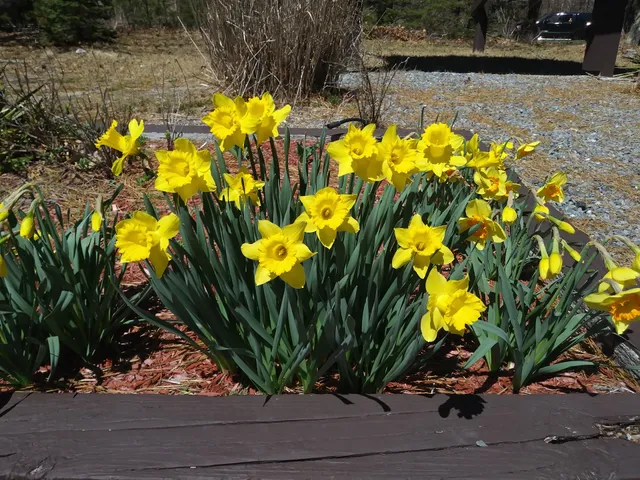 Nickerson State Park Bicycle Trails