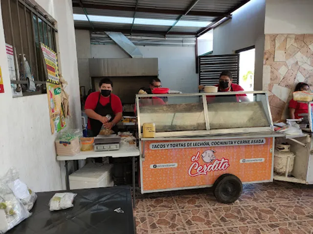 El Cerdito Mid | Fracc las Americas