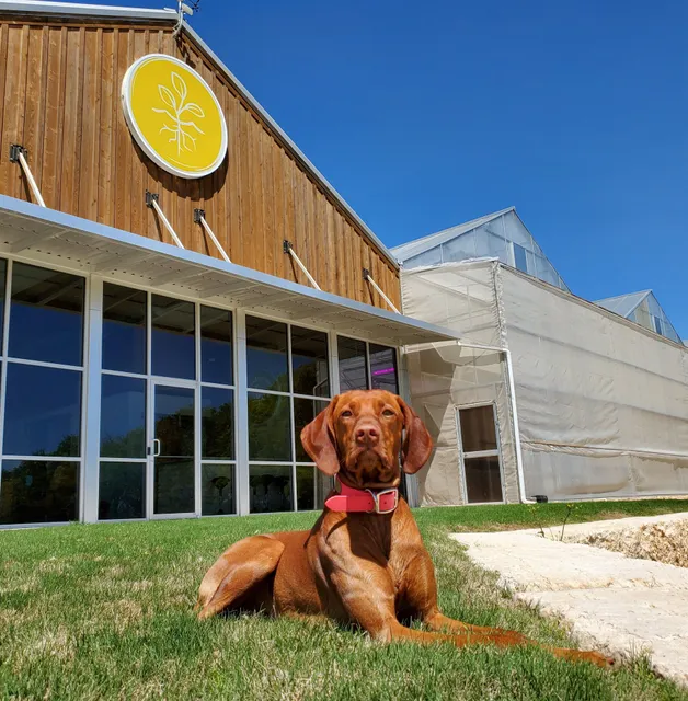 TrueHarvest Farms, LLC